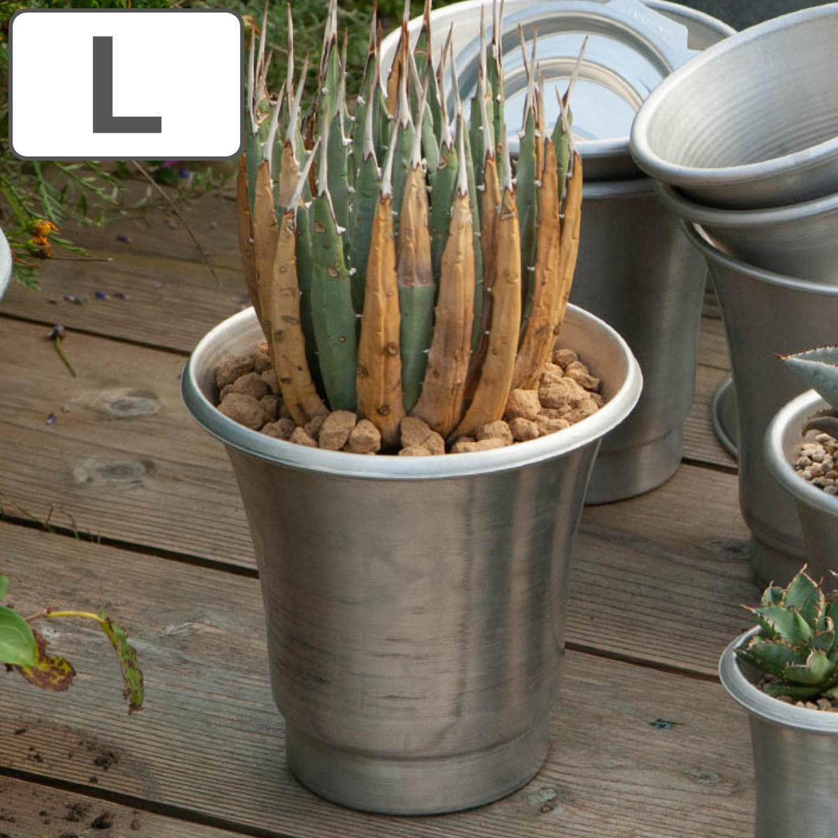 �_���g�� �|�b�g���\�[�T�[ L �A���~�j�E�� �i DULTON �|�b�g �A�ؔ� �v�����^�[ �A���~�|�b�g �� �v�����g�|�b�g �j