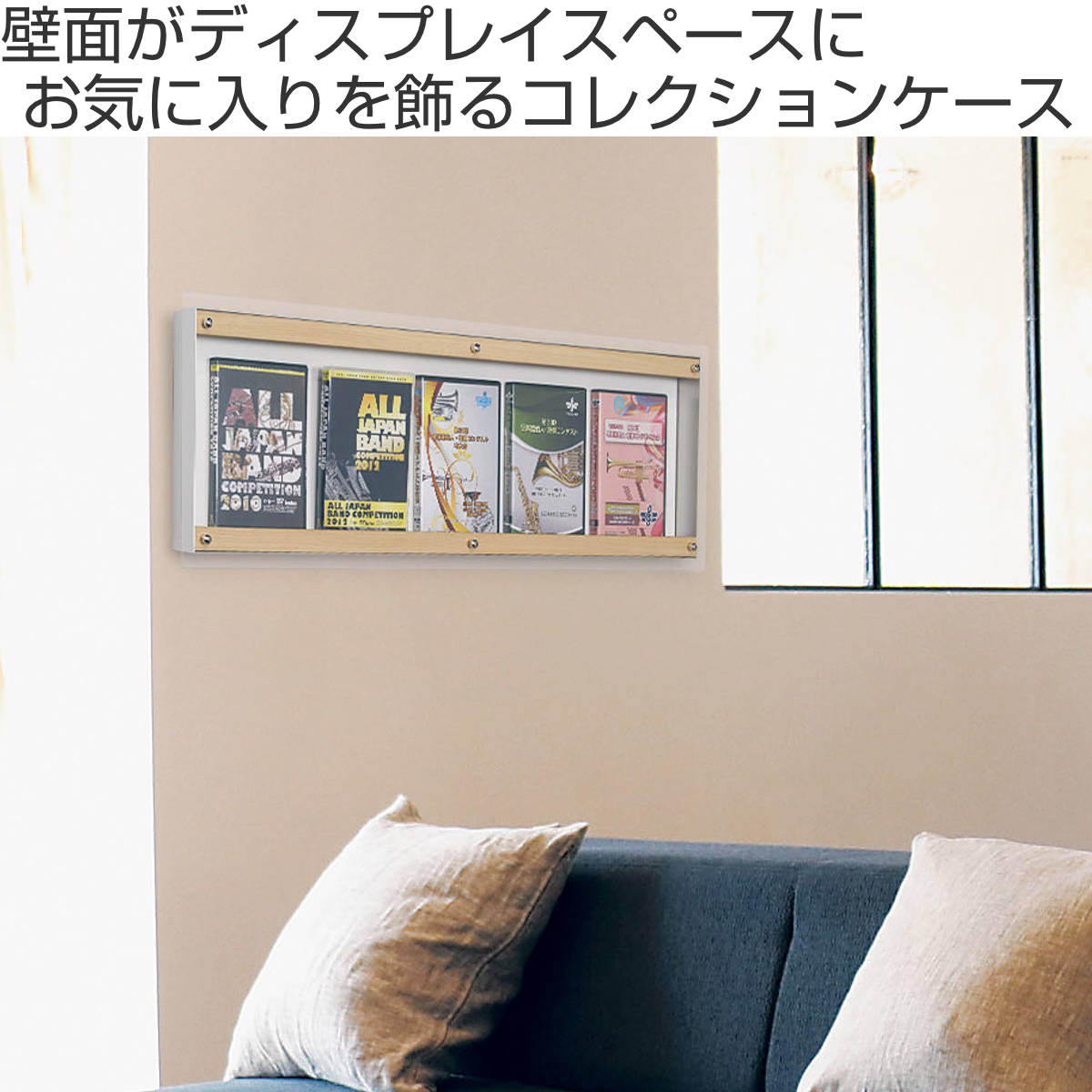 DKPLOE コレクションケース コレクションケース 88.3×28.3cm 壁掛け アクリルカバー パンフレット