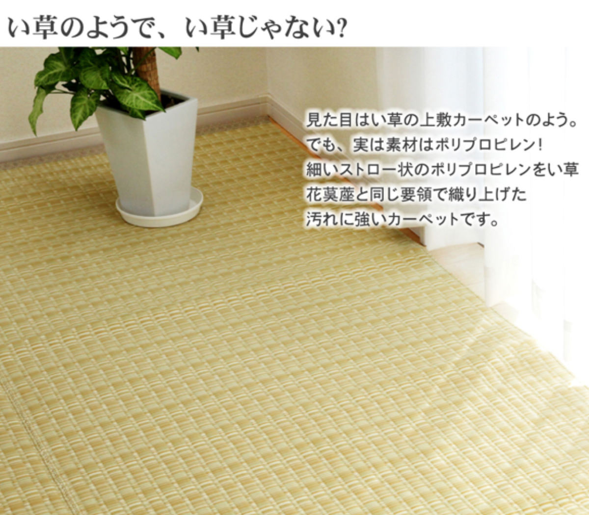 カーペット い草風 洗える PPカーペット バルカン 本間6畳 約286×382cm （ 敷物 ラグ マット ラグマット レジャーシート ござ 上敷き い草調 ）