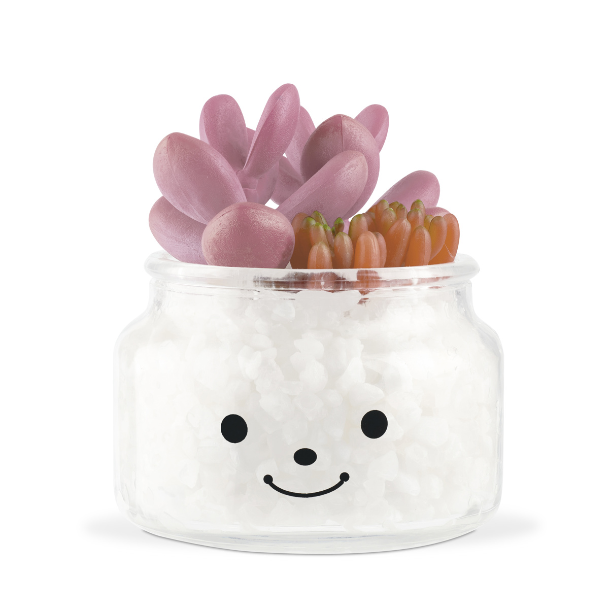 フェイクグリーン 人工観葉植物 ファミーユ 消臭アーティフィシャルグリーン エマ （ 造花 人工植物 観葉植物 人工 植物 多肉植物 リアル ct触媒 消臭 防汚 ）
