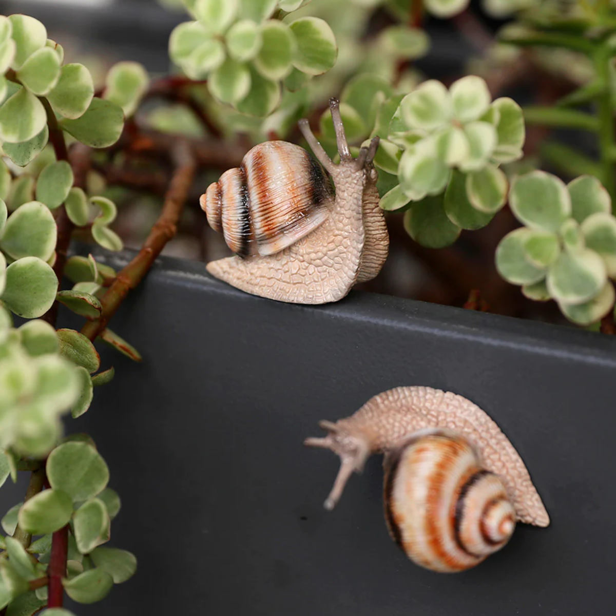 magnet オブジェ FOREST MAG カタツムリ （ クリップホルダー 置き物