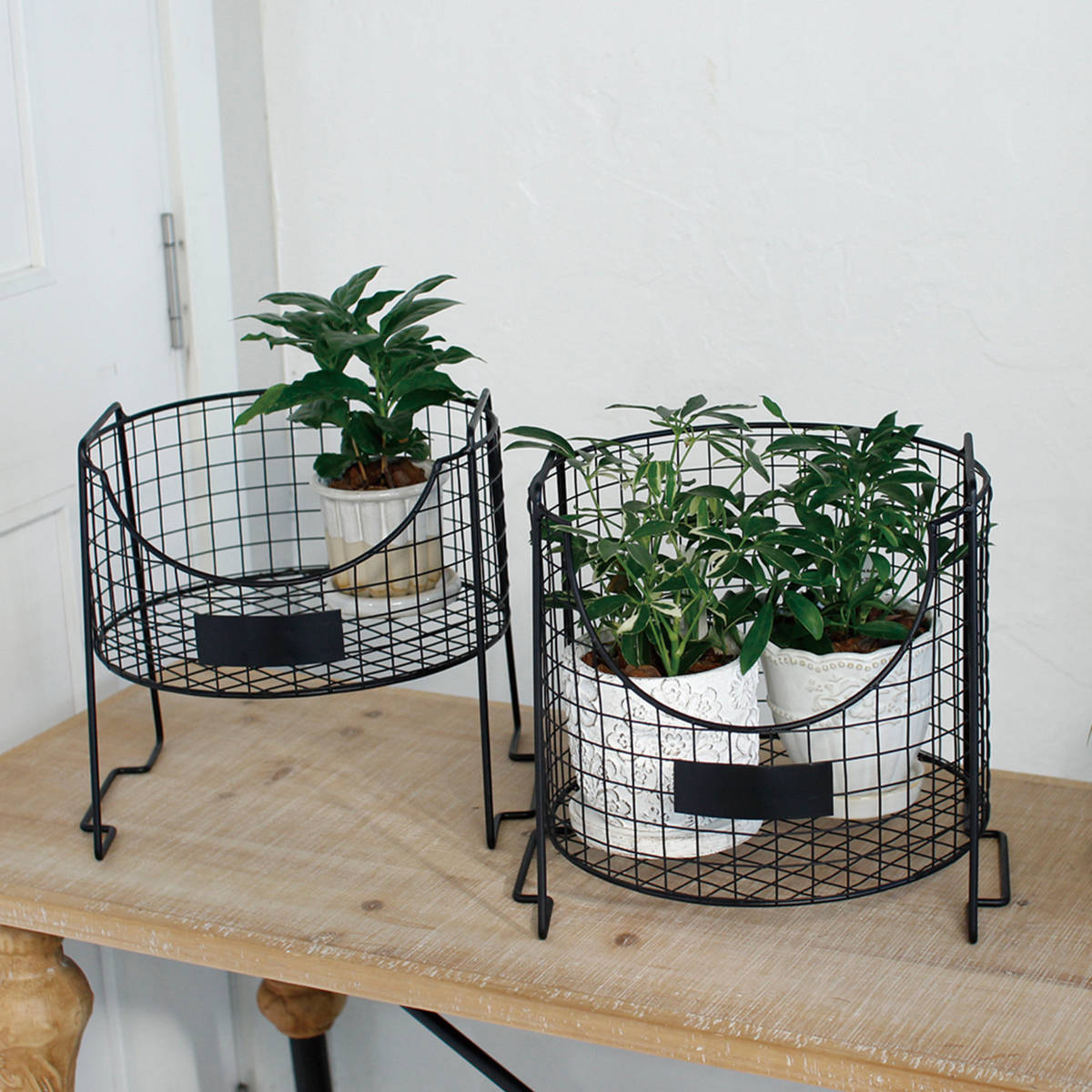 SPICE of Life（スパイス オブ ライフ） メッシュワイヤーバスケット 2