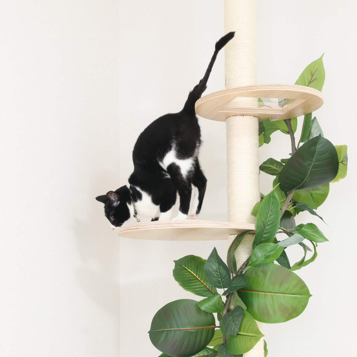 不二貿易（Fuji Boeki） キャットタワー ねこの休ら木 ソラ 爪とぎ