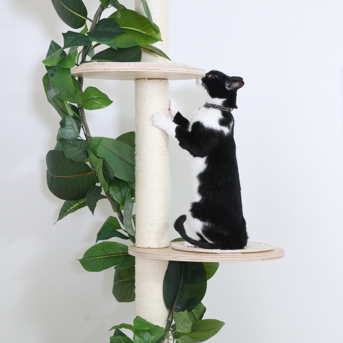 不二貿易（Fuji Boeki） キャットタワー ねこの休ら木 ソラ 爪とぎ