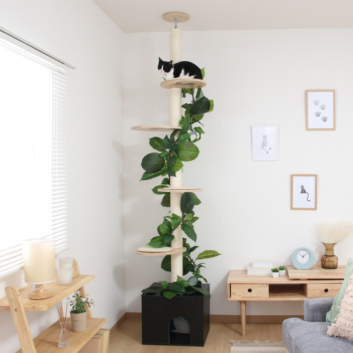 人気商品！おしゃれ キャットタワー 突っ張り 木製 キャットツリー 不二貿易（Fuji Boeki） キャットタワー ねこの休ら木 ソラ 爪とぎ