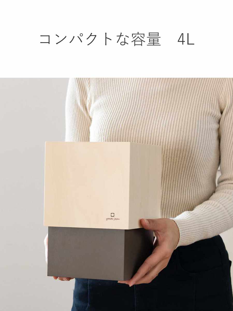 ヤマト工芸 ゴミ箱 木製 4L W CUBE （ ダストボックス ごみ箱 4