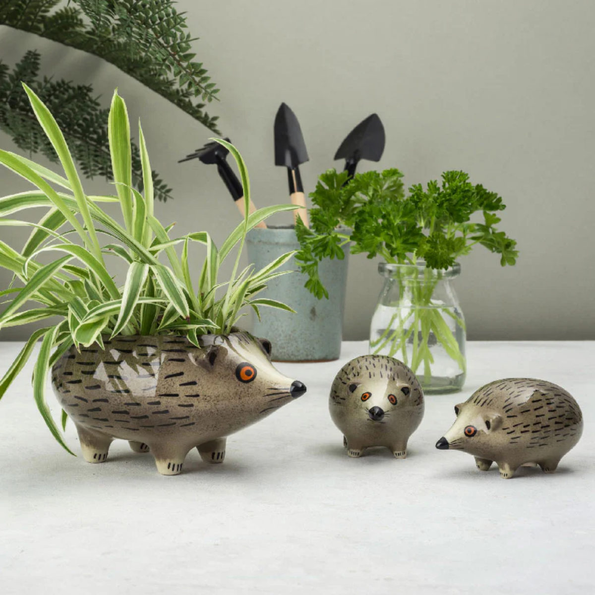 Hannah Turner（ハンナターナー） プランター ハリネズミ イノシシ