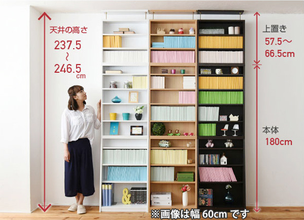 JK-PLAN（ジェイケイ・プラン） 本棚 上置き棚セット 1cmピッチ 薄型