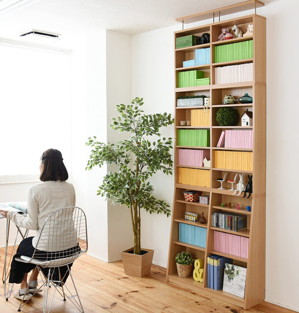 JK-PLAN（ジェイケイ・プラン） 本棚 上置き棚セット 1cmピッチ 薄型