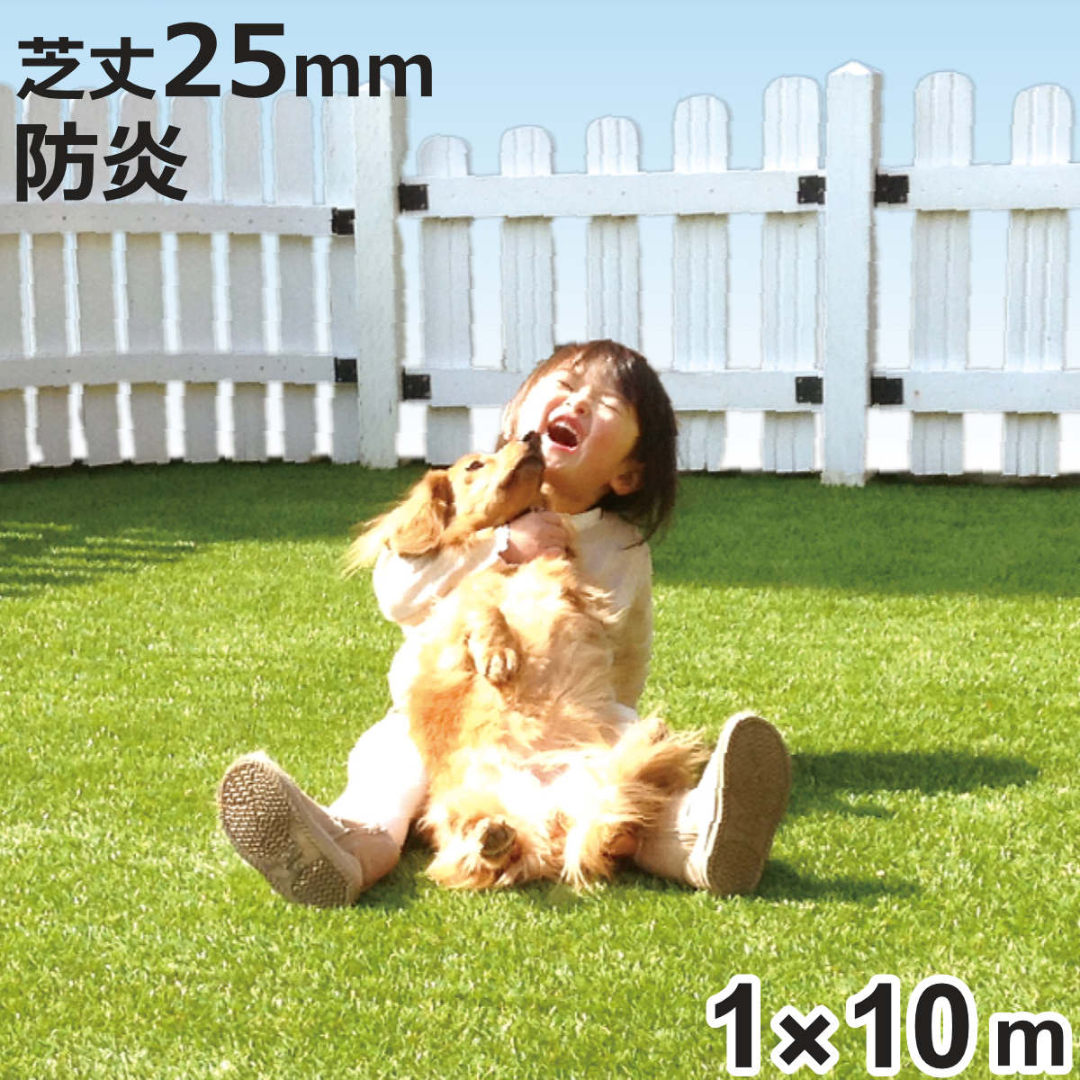 メモリーターフ」の人気商品一覧 | 安い商品を通販サイトから探す