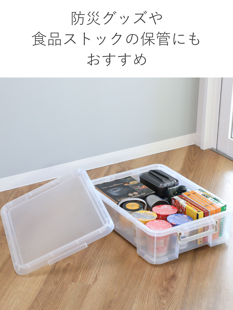 SANKA（サンカ） 収納ケース ナチュラ トラックス クローゼット 浅型