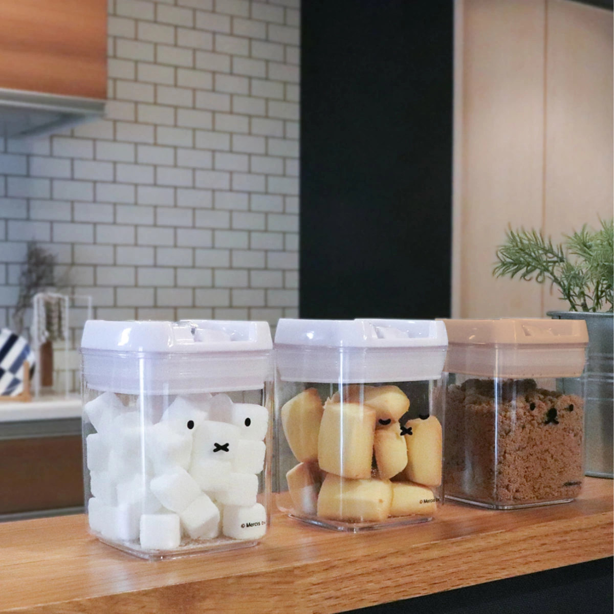 保存容器 270ml miffy キャニスター...の詳細画像4