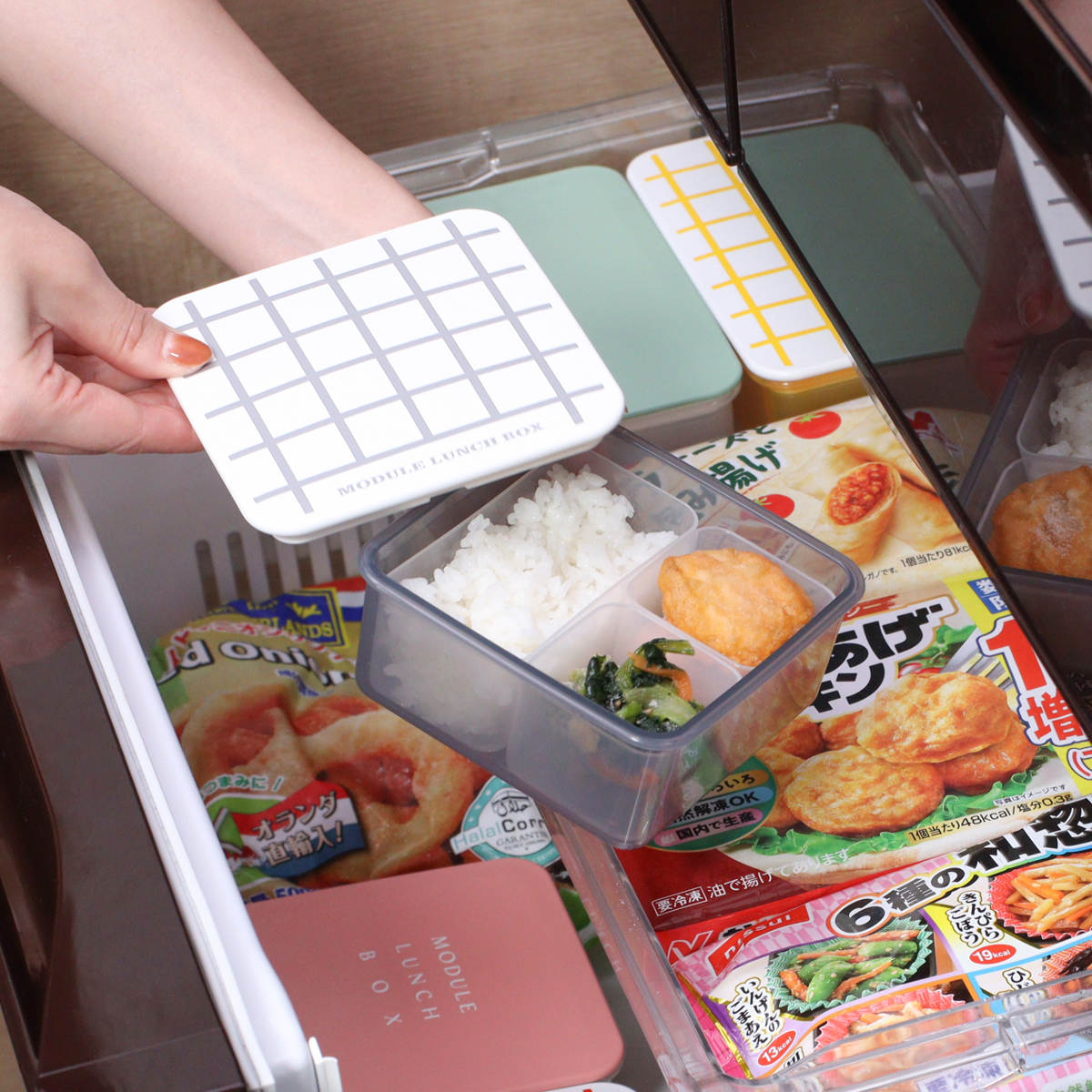弁当箱 冷凍 1段 400ml MODULE ランチ M グリッド （ お弁当箱 レンジ