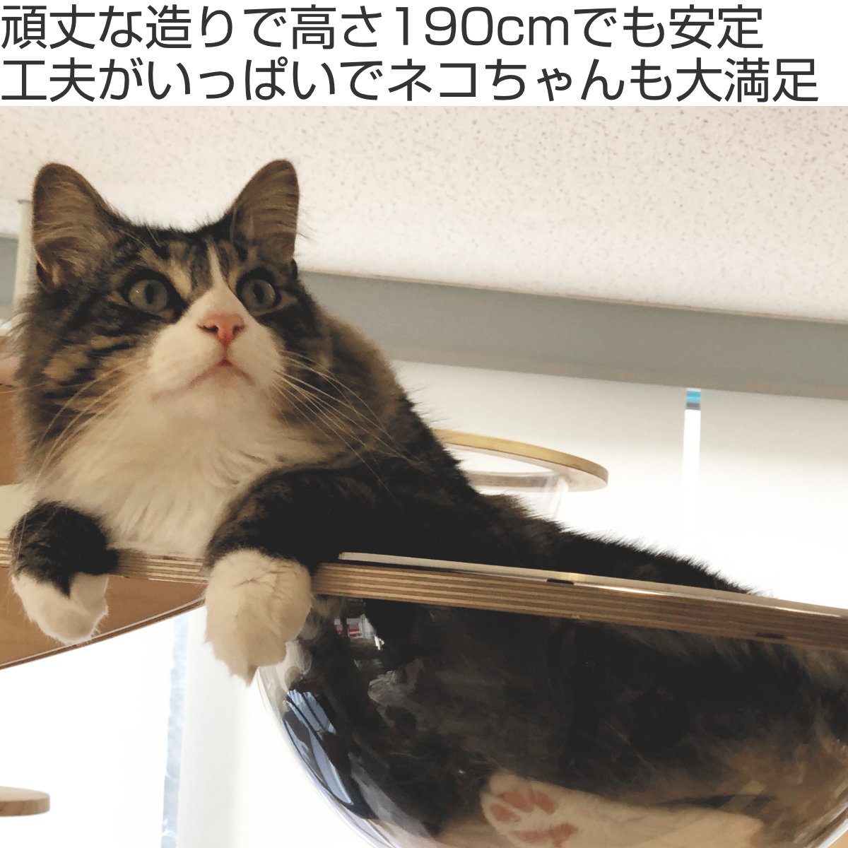 キャットタワー ねこぞく スカイタワー 木製 据え置き （ キャットツリー 猫タワー 190cm 爪とぎ キャットハウス おしゃれ インテリア ）の画像