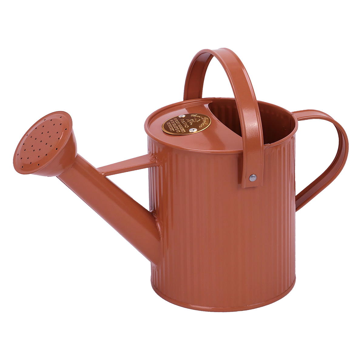 ジョーロ パティオ シャワージョウロ 水差し （ ジョウロ じょうろ