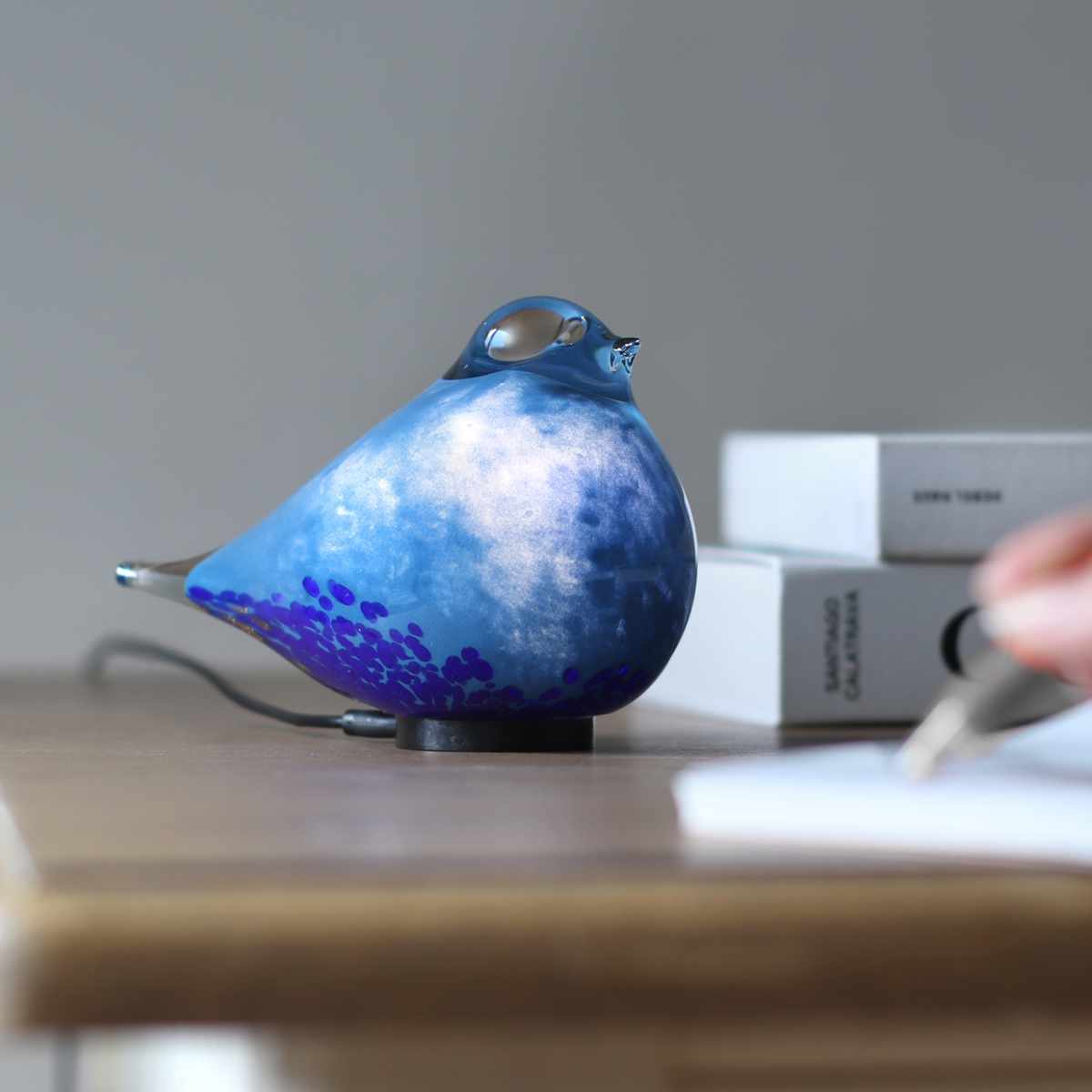 magnet テーブルライト HEALING BIRD USB電源 （ ライト ガラス製