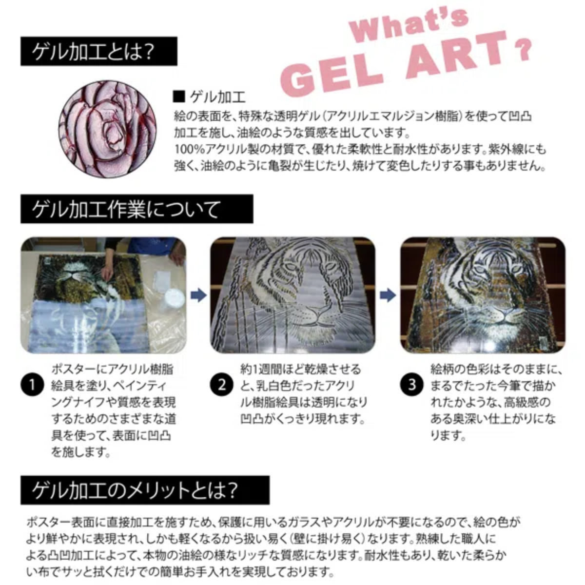 アートパネル フランツ ヘイグル 『デリケート ツィグス』 3枚セット