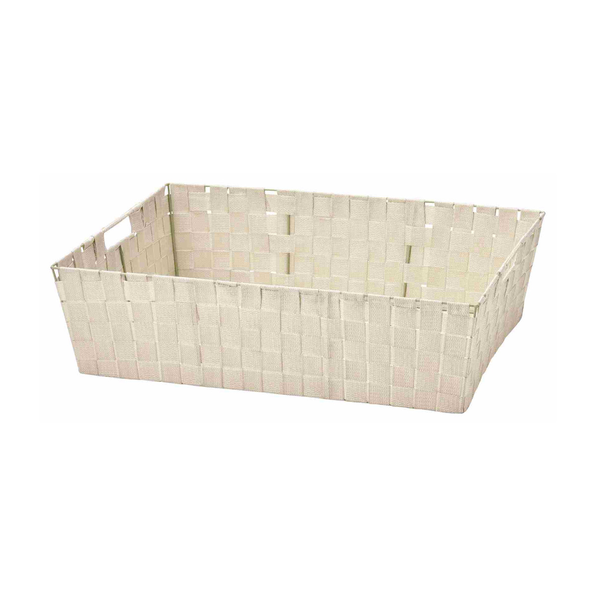 ちどり産業 収納ボックス PPバスケット 浅型 収納 特大 幅61×奥行46×高