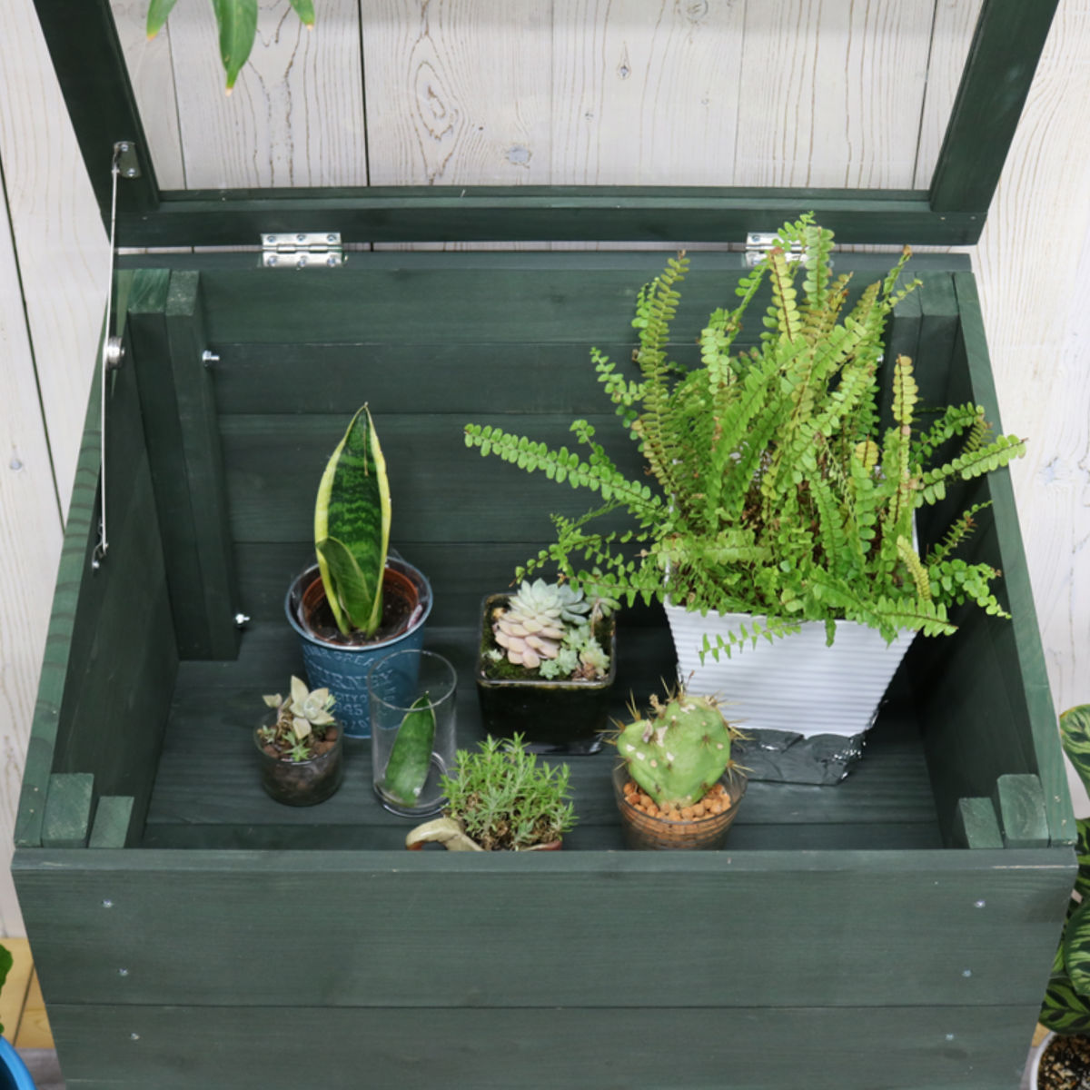 グリーンハウス 木製窓付グリーンハウス 温室 OWN オウン