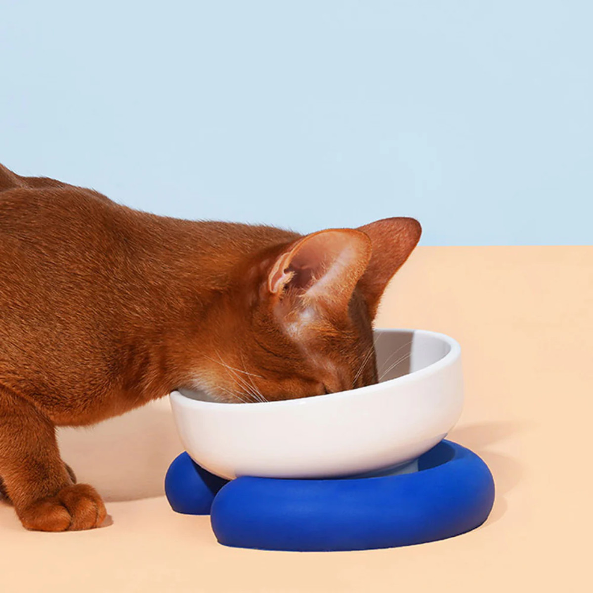 フードボウル Single Bowl Base 高さがある ( ペットボウル シングル 猫 ペット用 餌皿 エサ皿 食べやすい )