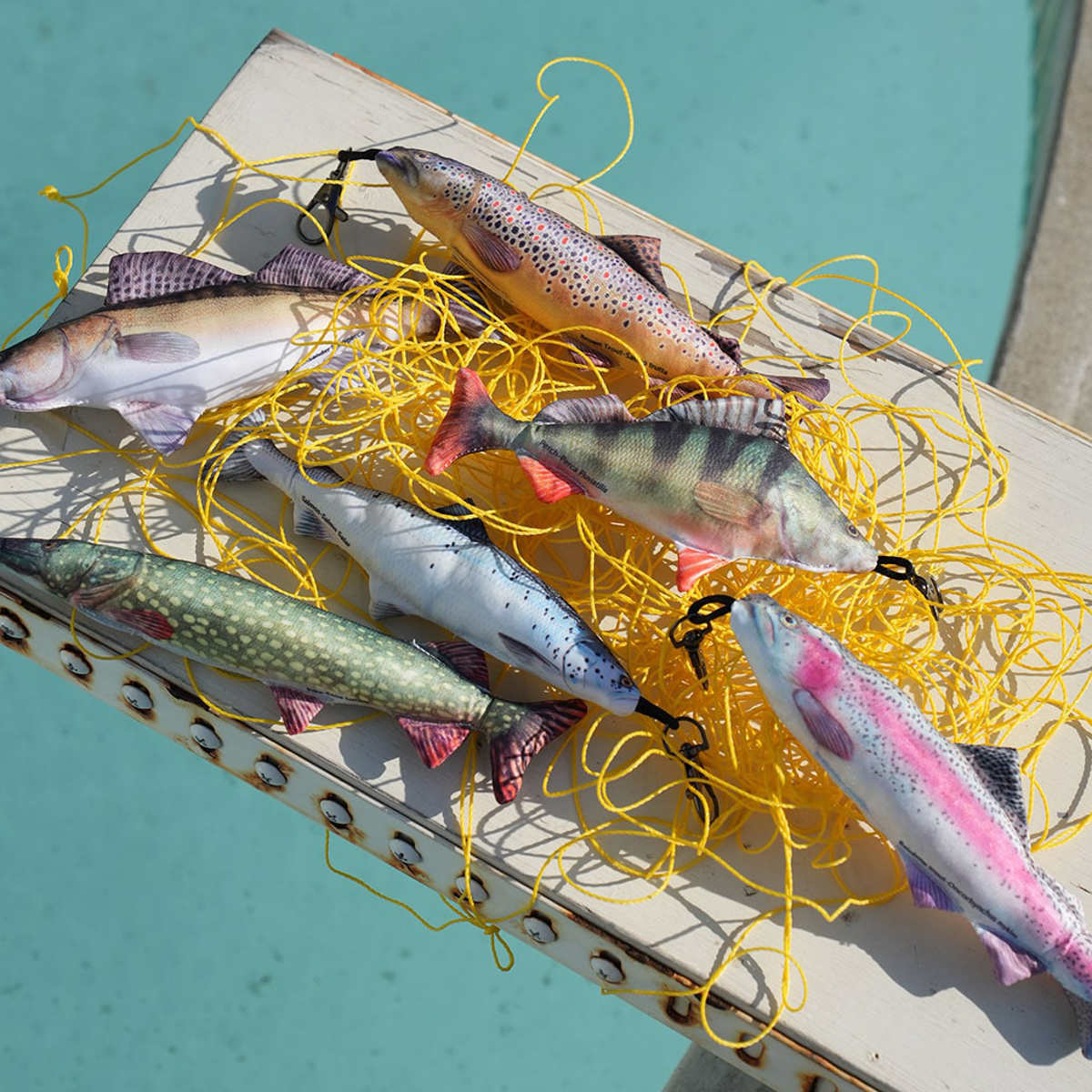 キーホルダー ダルトン LITTLE FISH...の詳細画像3