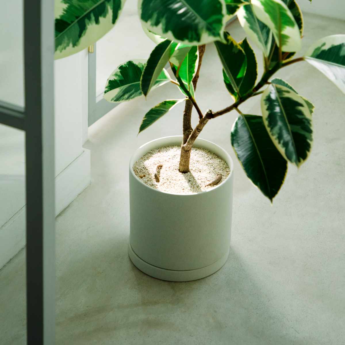 KINTO（キントー） プラントポット 200×195mm （ 鉢 植木鉢 プランター