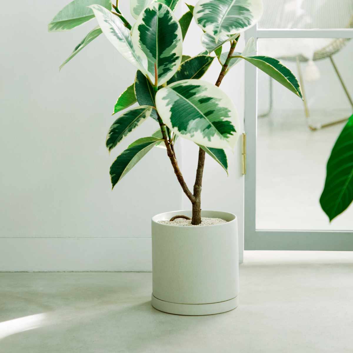 KINTO（キントー） プラントポット 200×195mm （ 鉢 植木鉢 プランター