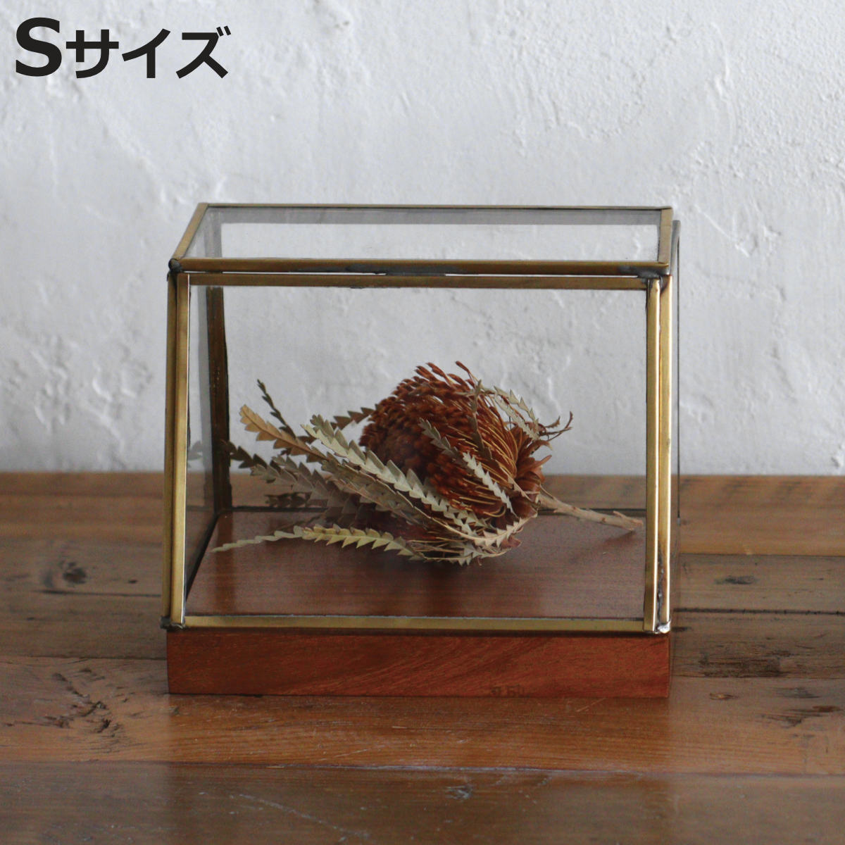 アイアン ショーケース」の人気商品一覧 | 安い商品を通販サイトから