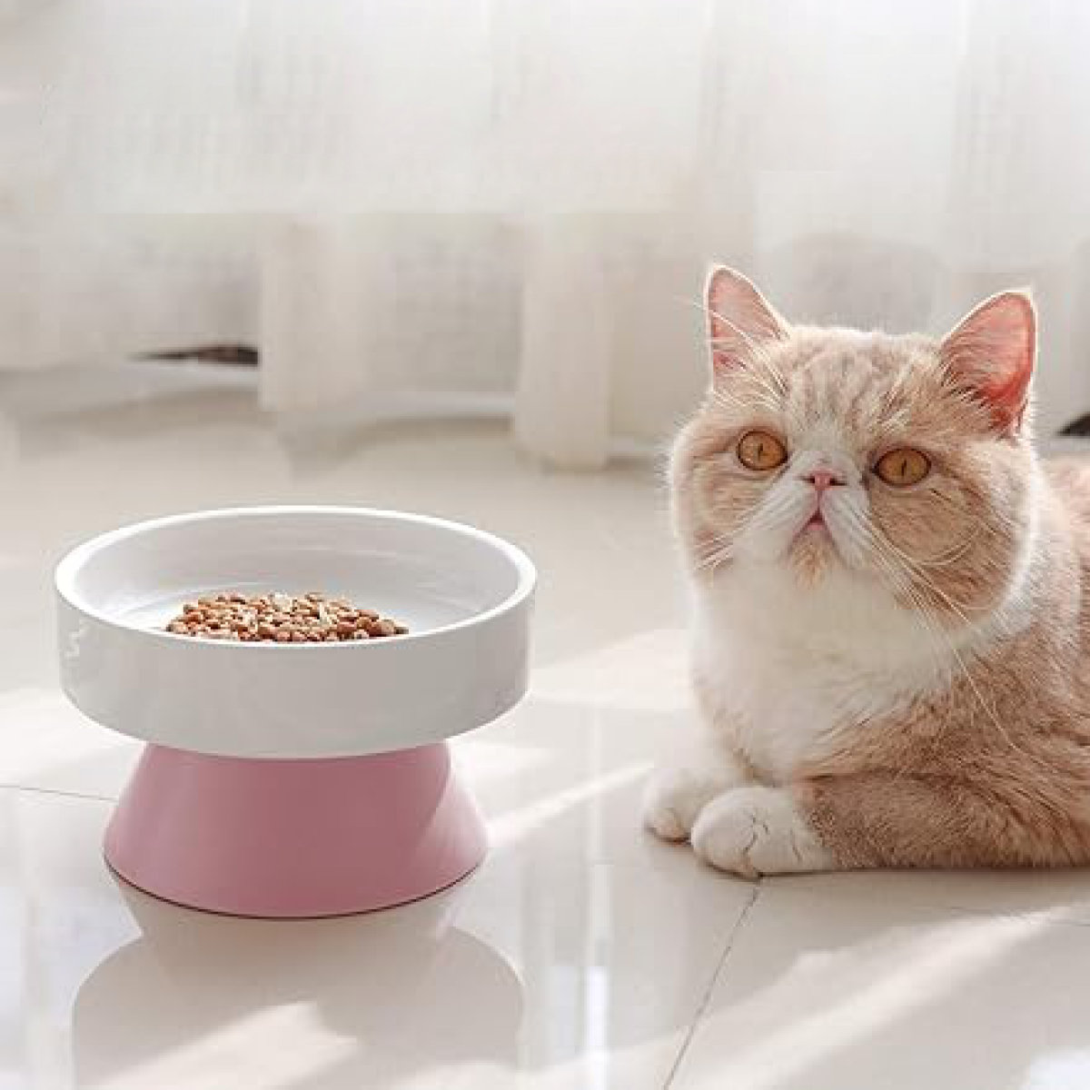 フードボウル たっぷりボウル 犬 猫 ( ペットボウル 脚付き 高さがある 広口 犬用 猫用 ペット用 餌皿 エサ皿 食べやすい )