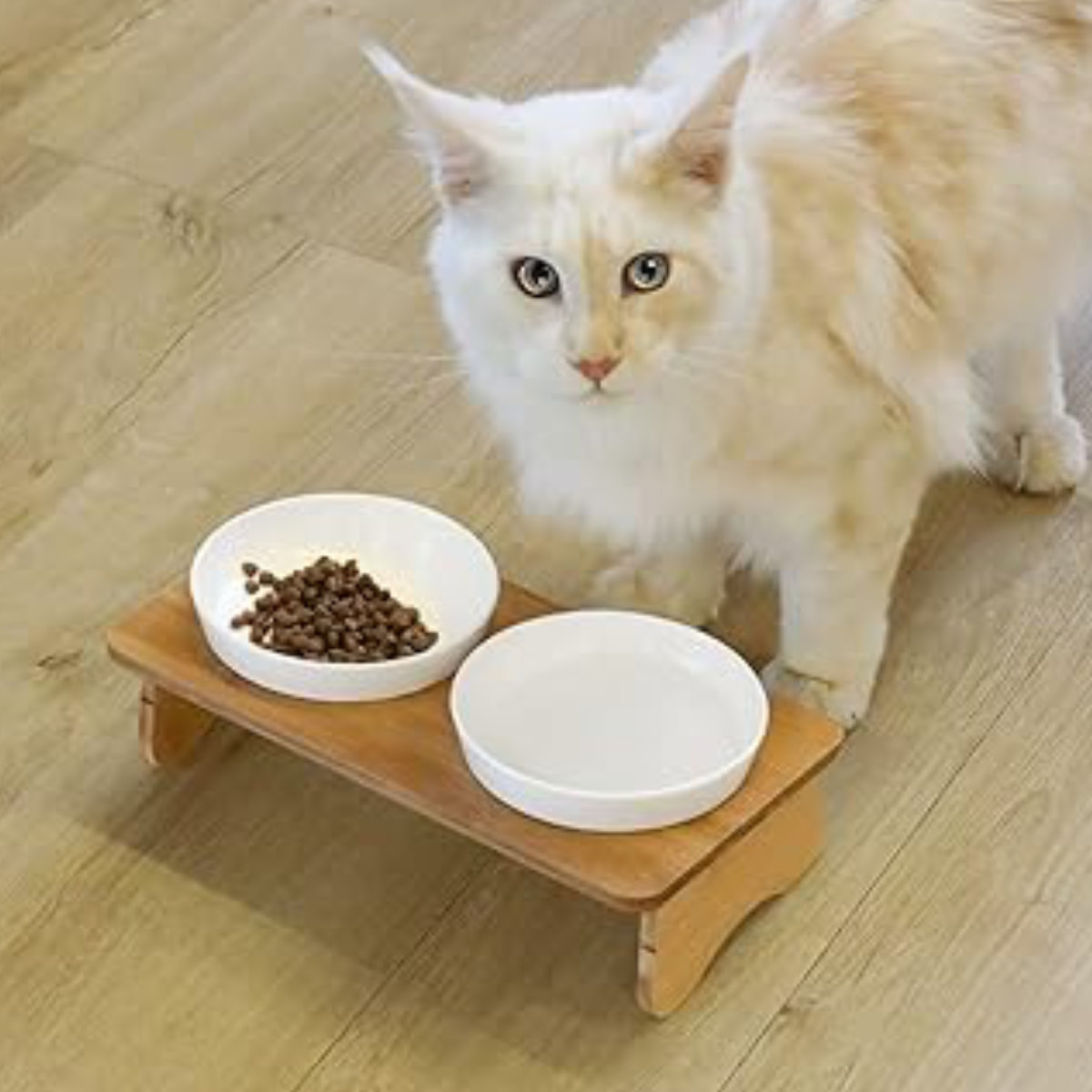 フードボウル ちゃぶ台ボウル 犬 猫 2個入り （ ペットボウル スタンド 竹製 ダブル ペット用 餌皿 エサ皿 食器 高さがある シンプル ）