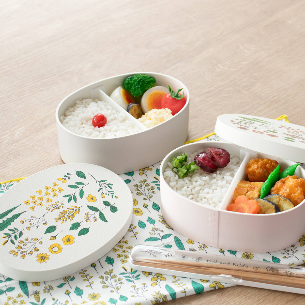 弁当箱 500ml Hill＆Fields わっぱランチボックス （ ランチボックス