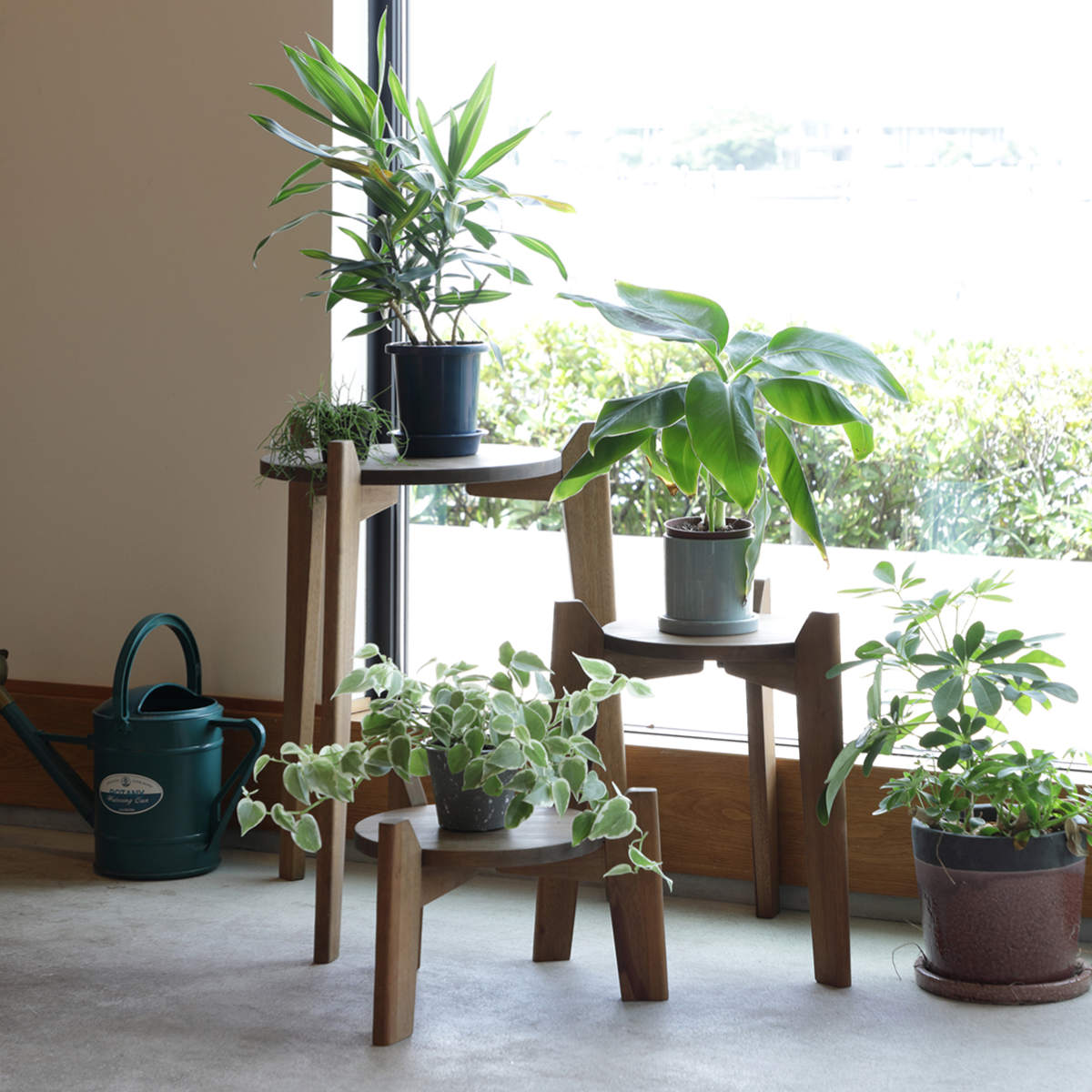 弘益 花台 Jardin Plants Table set 木製 （ プランタースタンド