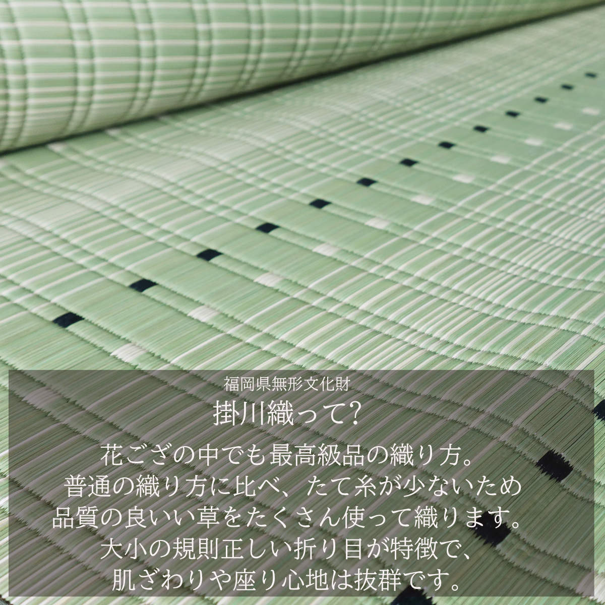 い草ラグ 西陣 191×250cm 掛川織 花ござ （ い草マット い草カーペット カーペット ラグ ござ ）