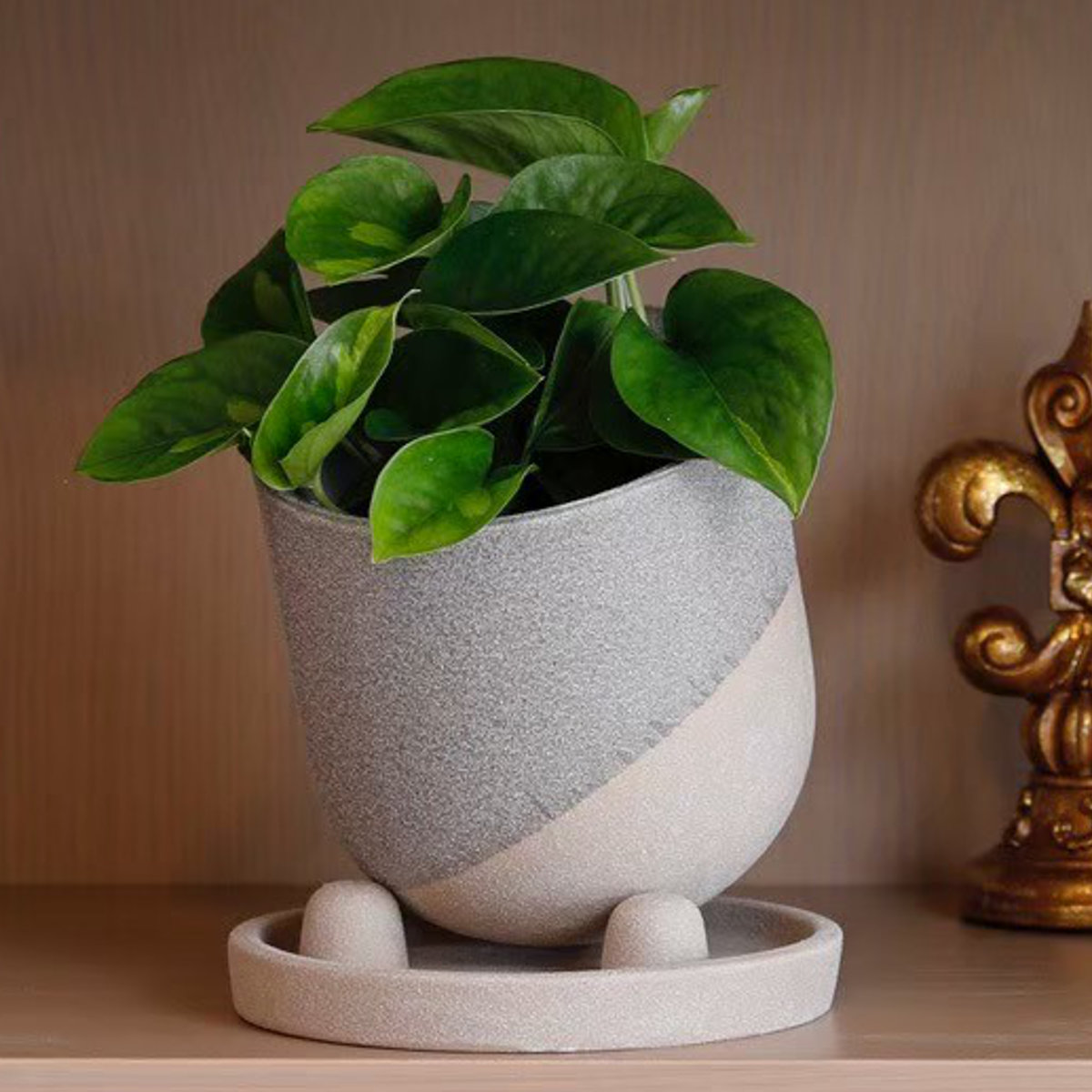 d2（植木鉢）｜鉢、プランター｜庭、ガーデニング | DIY、工具 の