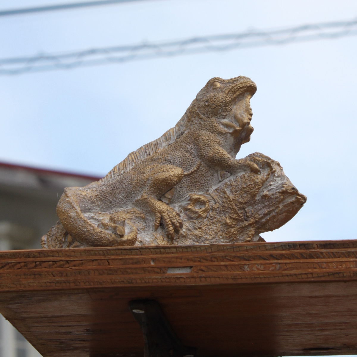 オブジェ デコール セメントオブジェ トカゲ S （ 置物 とかげ