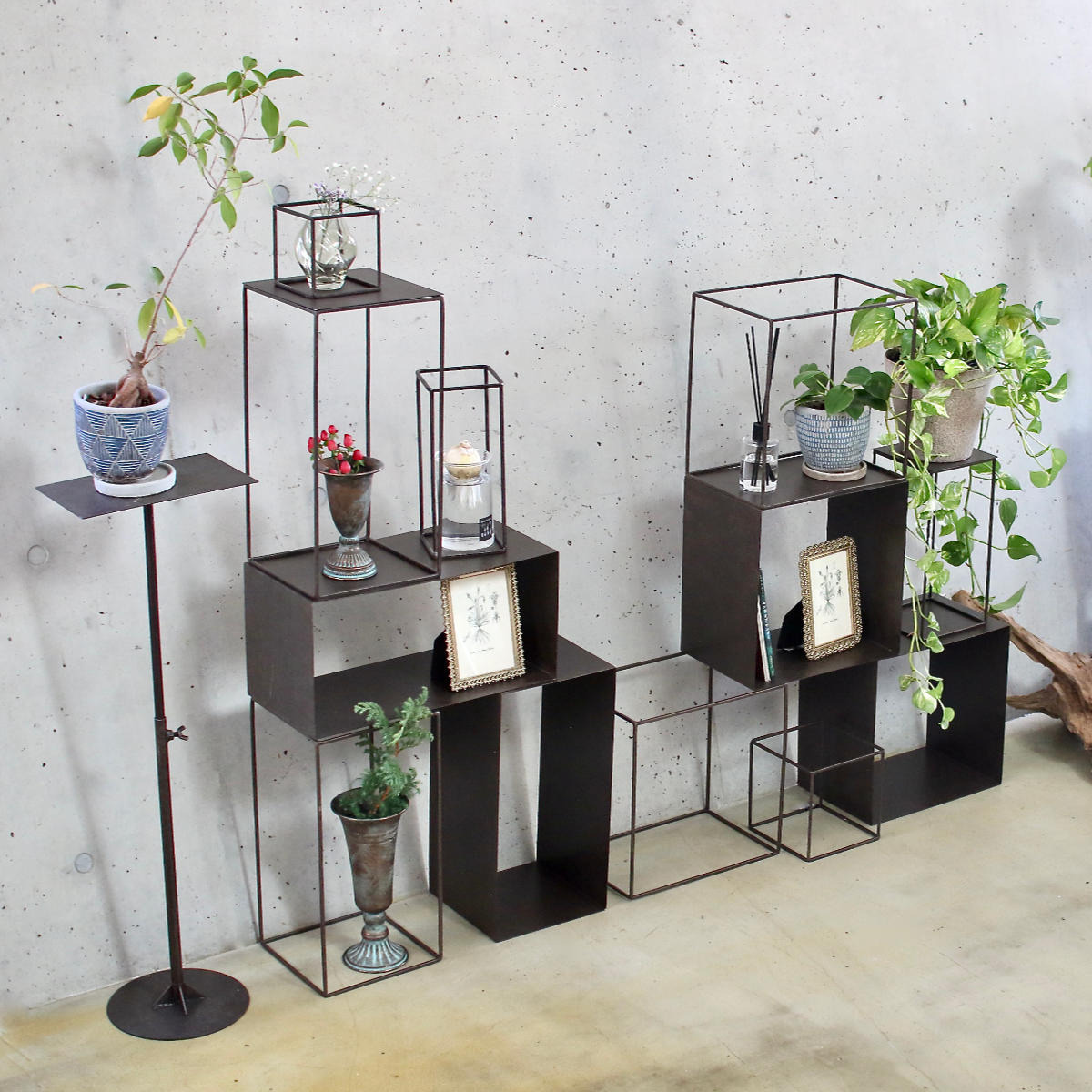 フレーム ジョセフアイアン ディスプレイワイヤーフレーム キューブ S