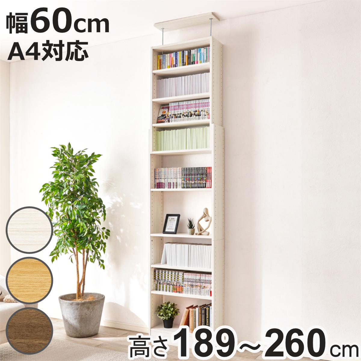 HAGiHARA（萩原） 突っ張り 壁面収納ラック 幅60cm 頑丈 大容量