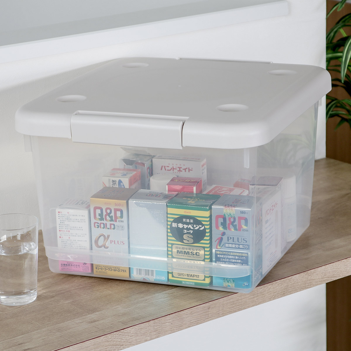 天馬 収納ボックス 35M とっても便利箱 フタ付き （ 幅35×奥行40×高さ