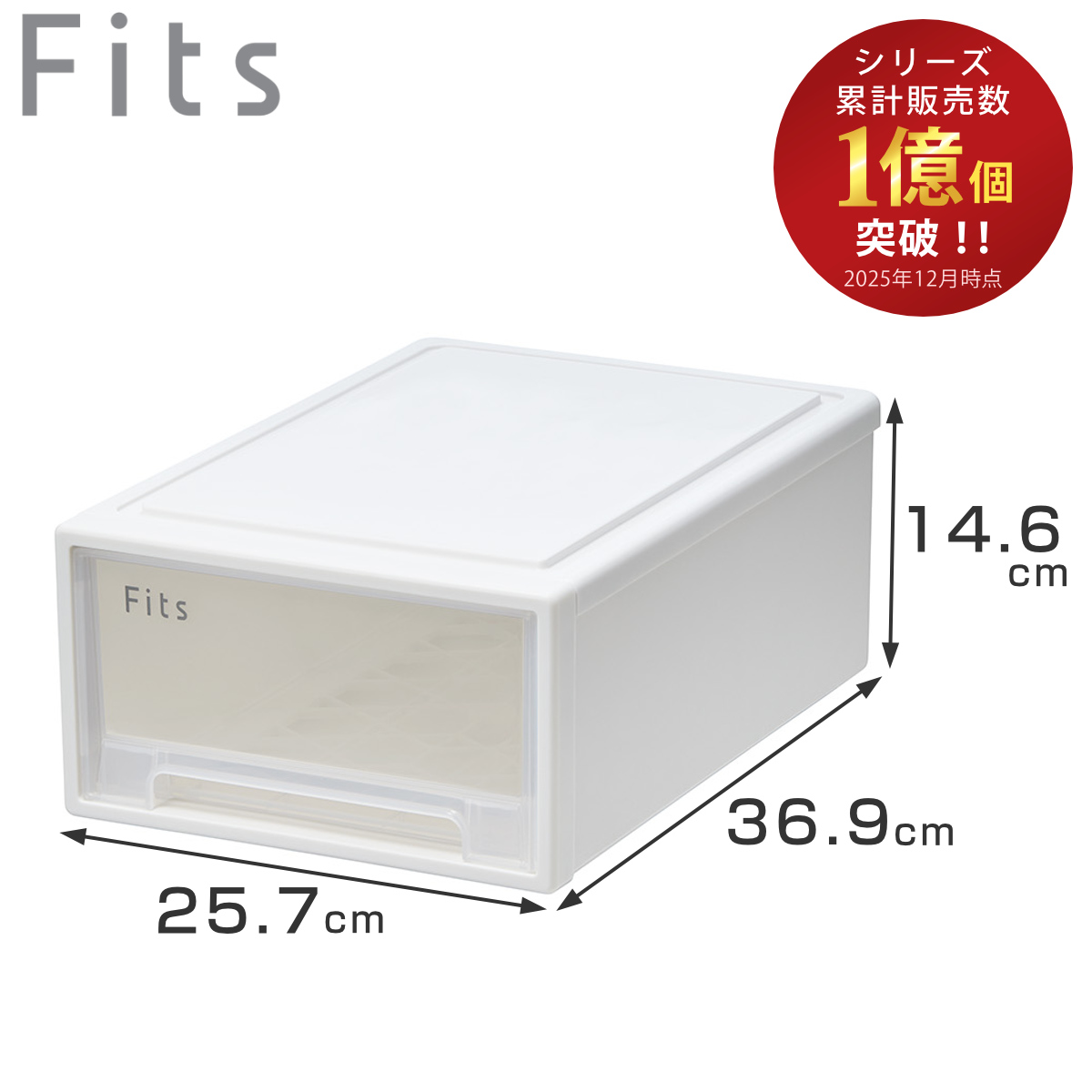 Fits 収納ケース フィッツ フィッツケース ミニ 引き出し 小物 （ 収納