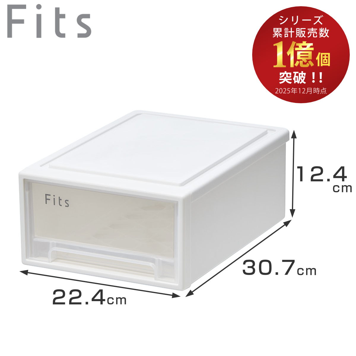 Fits 収納ケース フィッツ フィッツケース スモール 引き出し 小物