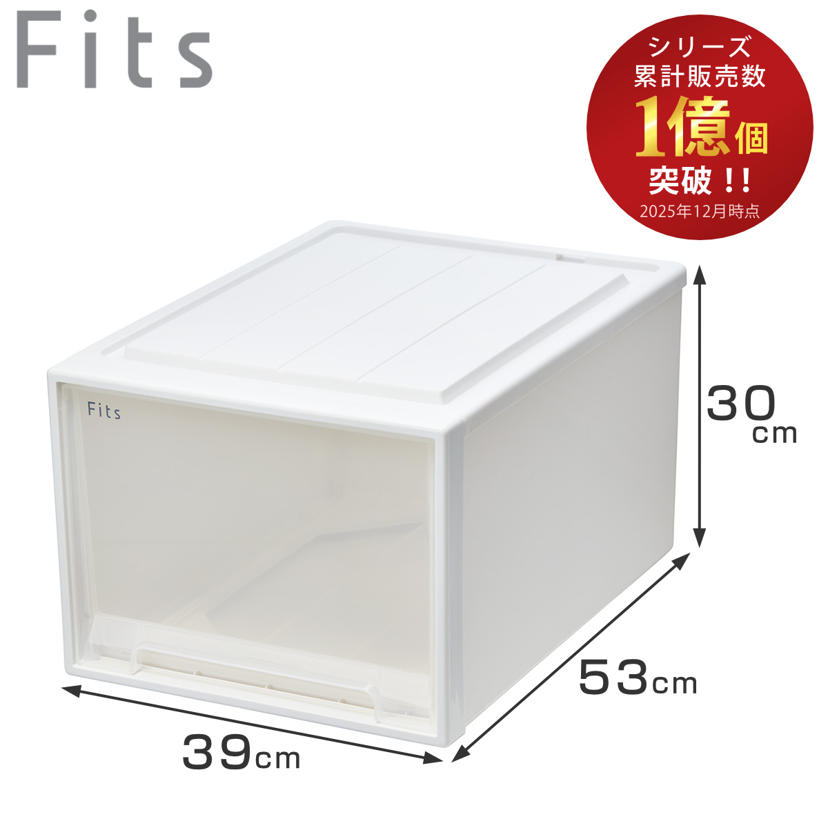 収納ケース Fits フィッツケース クローゼット S-53 廃盤品フィッツ