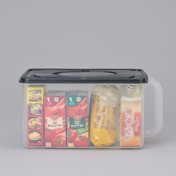 イノマタ化学 保存容器 6.3L 浅型 取っ手付き （ 食品保存容器 保存