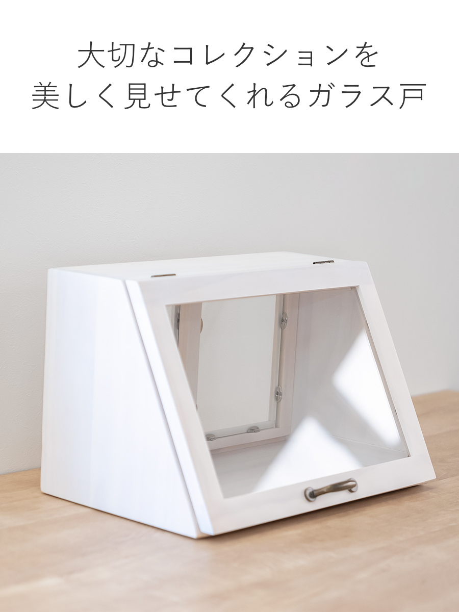 HAGiHARA（萩原） ガラスケース 幅40cm 2段 カウンター上収納 可動棚