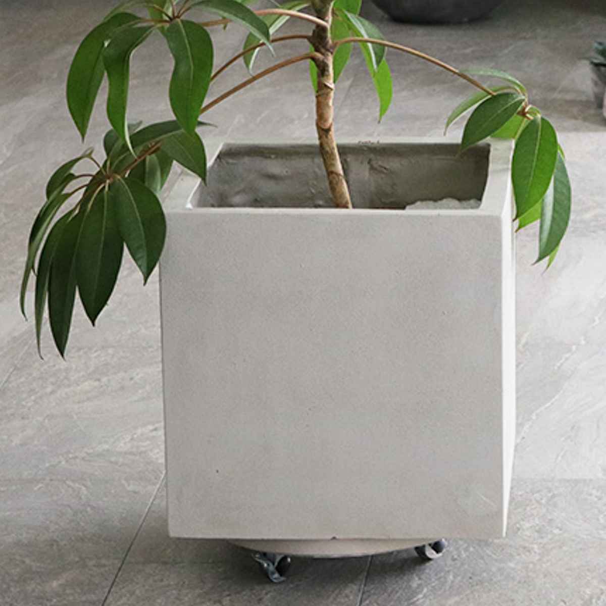 プランター セメント製キャスター付きプランターキャリー36cm 2台組 