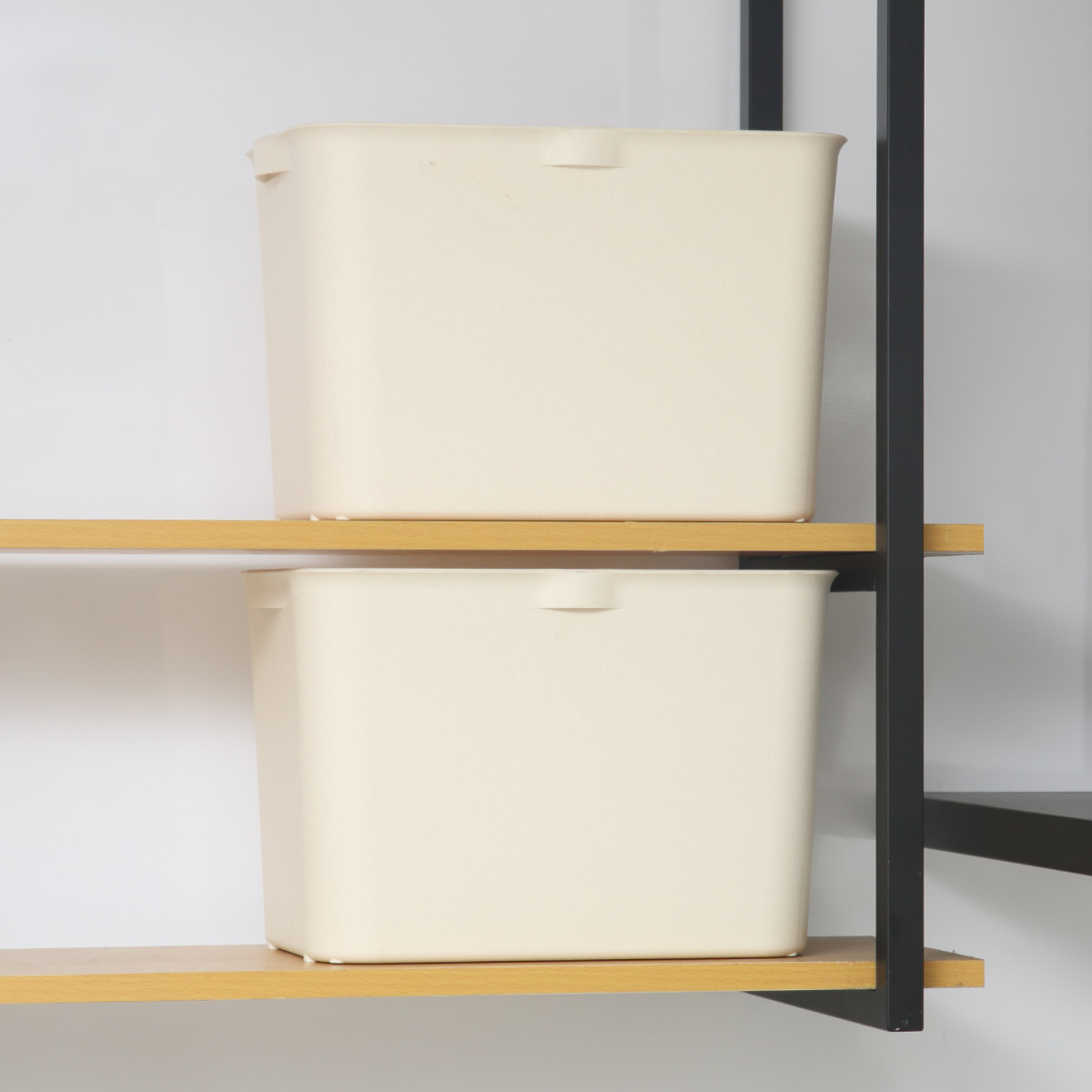 SANKA 収納ボックス カタス L カラーボックス インナーボックス