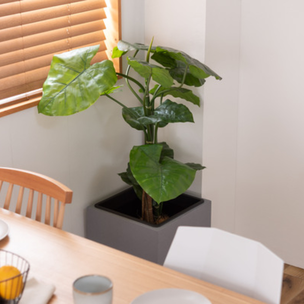 プランター コンクリート調 幅37cm （ プランターカバー スクエア 植木鉢 鉢 屋外 外 家庭菜園 寄せ植え おしゃれ ）の画像