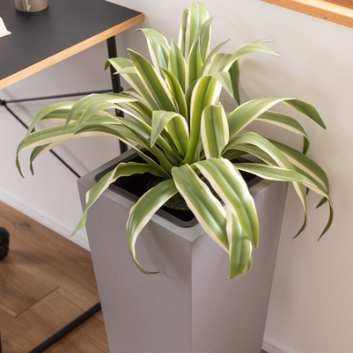 鉢・プランター OJIN Spike Planter by Buzzby & Fang I 植木鉢 I プラントソサエティ