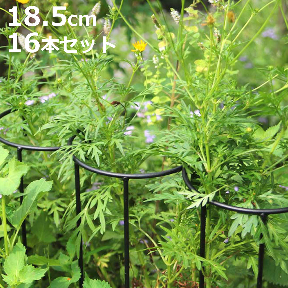 アイアン製植物サポーター幅18 16本セット （ 支柱 フラワースタンド 花壇 花 植物 支える サポーター 囲い アイアン 仕切り ガーデン ）