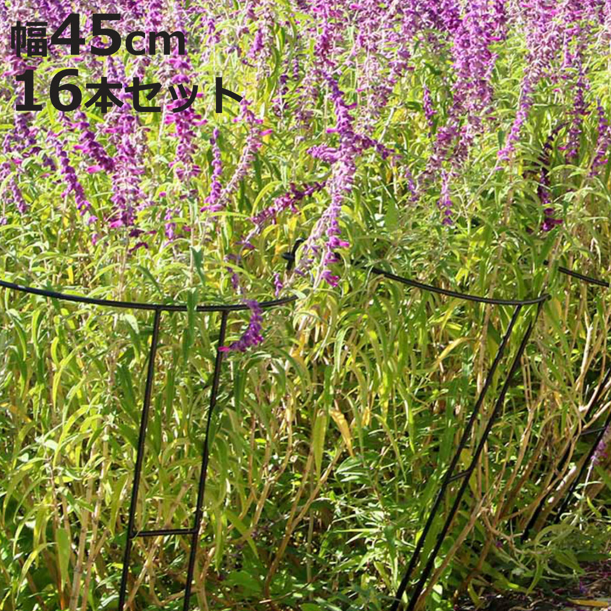 アイアン製植物サポーター幅45 16本セット （ 支柱 フラワースタンド 花壇 花 植物 支える サポーター 囲い アイアン 仕切り ガーデン ）