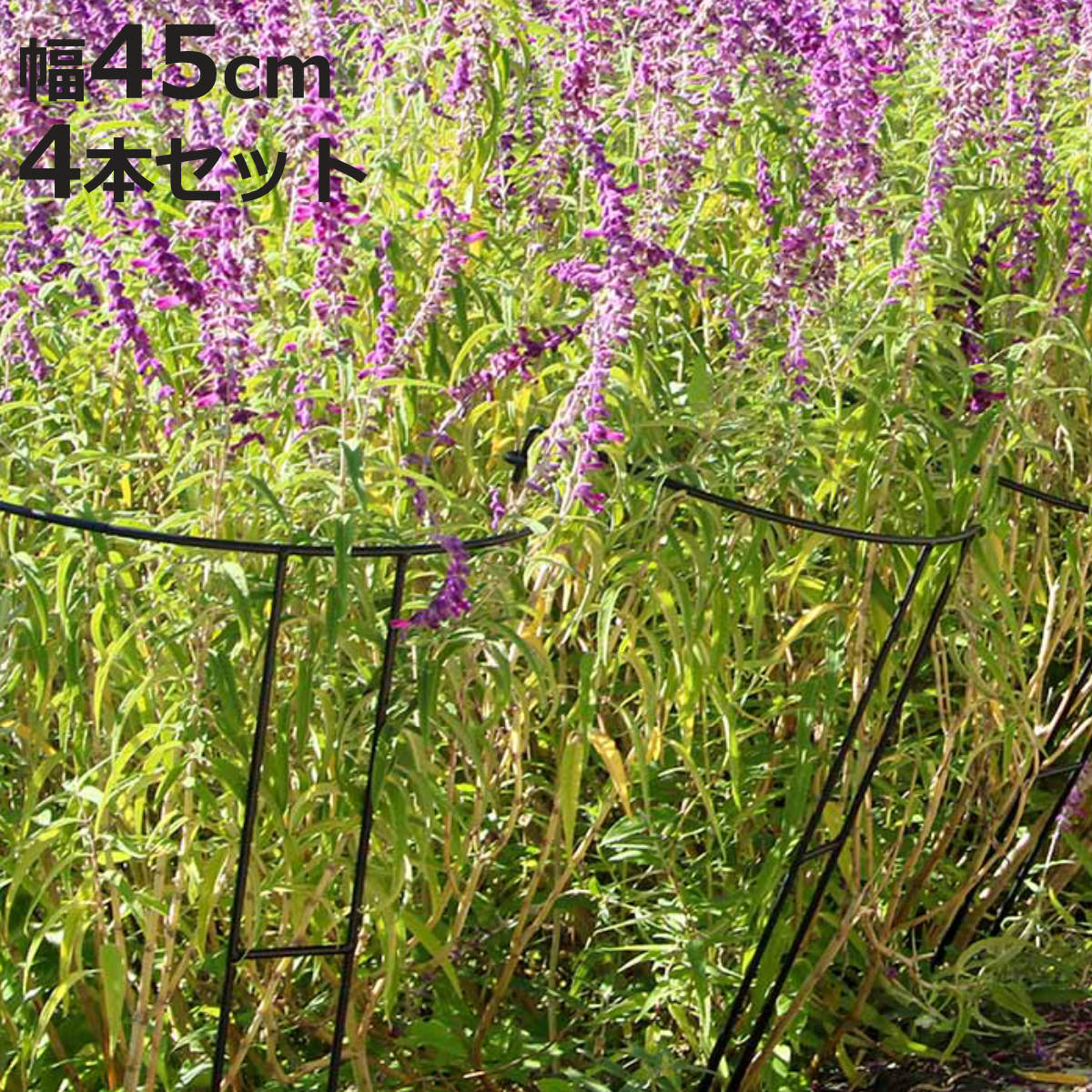 アイアン製植物サポーター幅45 4本セット （ 支柱 フラワースタンド 花壇 花 植物 支える サポーター 囲い アイアン 仕切り ガーデン ）